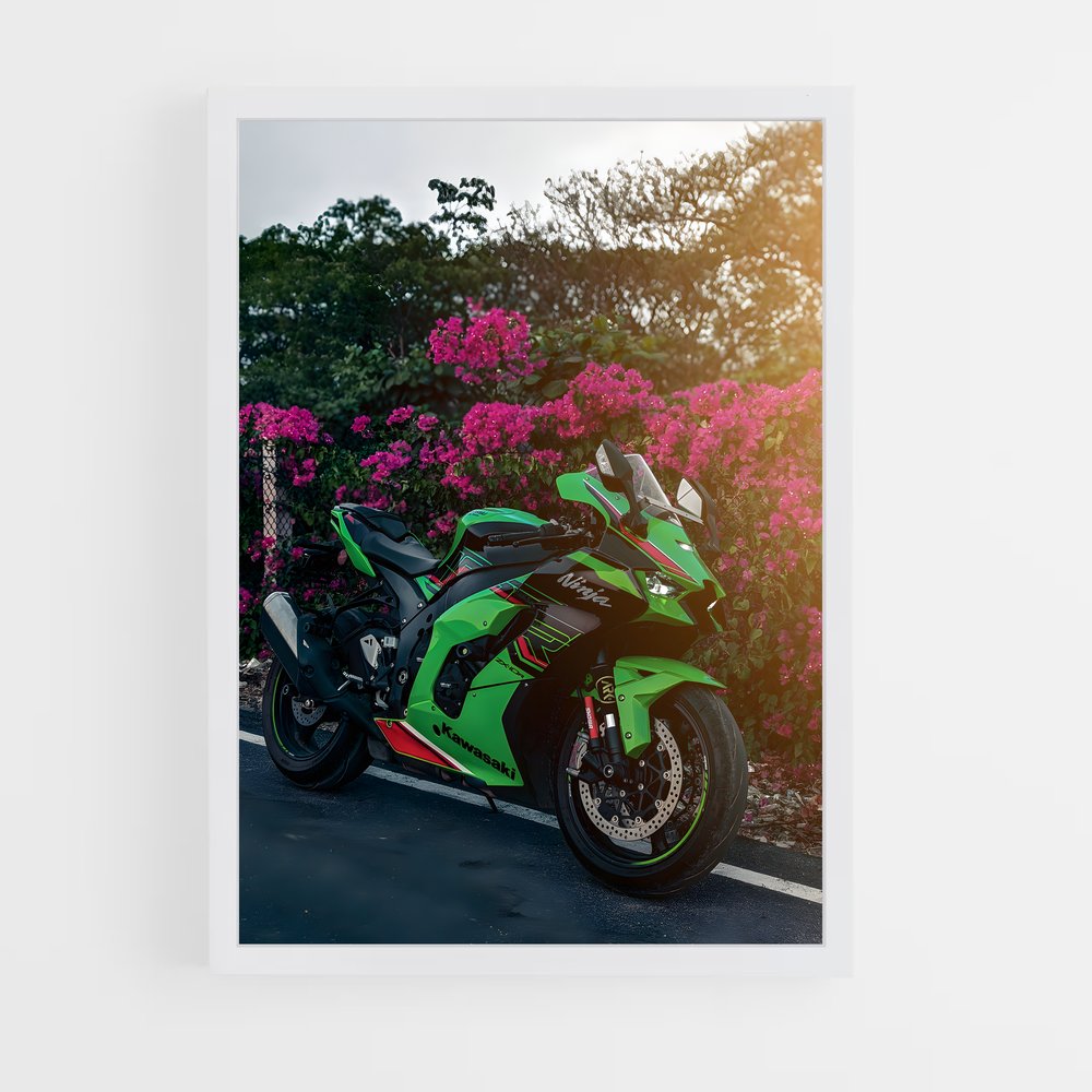 Poster Vitesse Verdoit (vue 3)